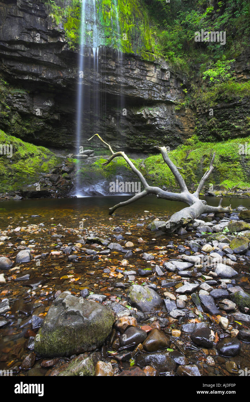 Plus haute cascade dans le sud du Pays de Galles, Henrhyd Falls, Brecon Beacons Banque D'Images