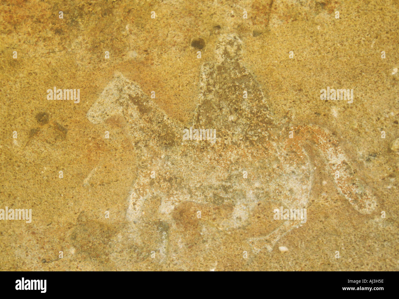 Mur de pierre avec pictogramme aborigène à Cerro Colorado au centre de l'Argentine montrant un cavalier spaniel Banque D'Images