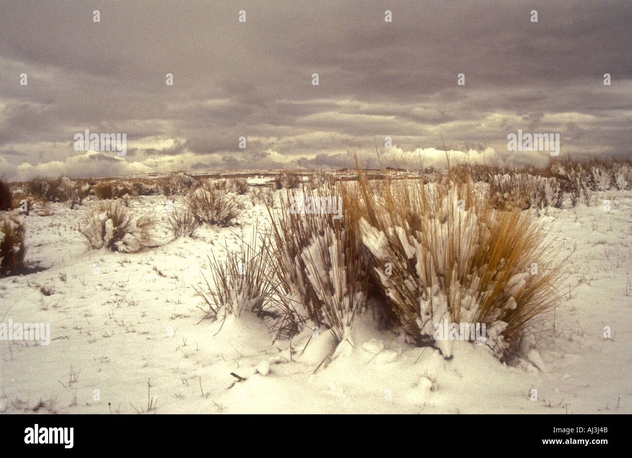 Neige de l'hiver au centre de l'Argentine dans les prairies de montagne Banque D'Images