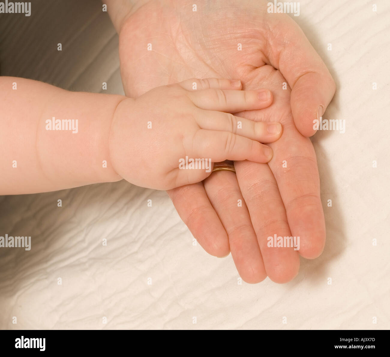 Les Mains Et Les Doigts De Bebe De 7 Mois Fille Sur La Paume De La Main De Sa Mere Photo Stock Alamy
