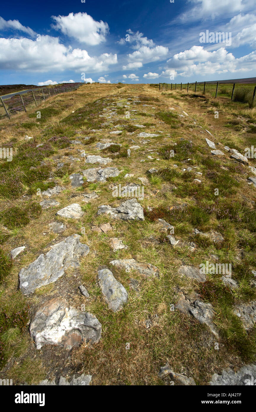 Wades Causeway Route Romaine Wheeldale Moor North York Moors Yorkshire Banque D'Images