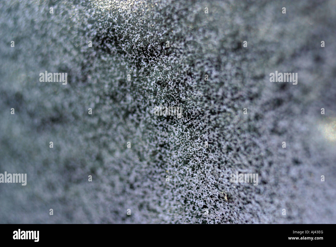 Close up de l'écriture graffiti tag travail de peinture sur un mur texturé Banque D'Images