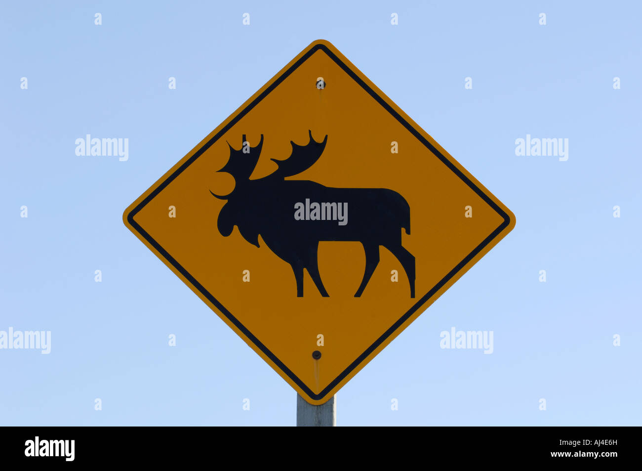 Moose crossing sign le long de la route 63 dans le Nord de l'Alberta Canada Banque D'Images