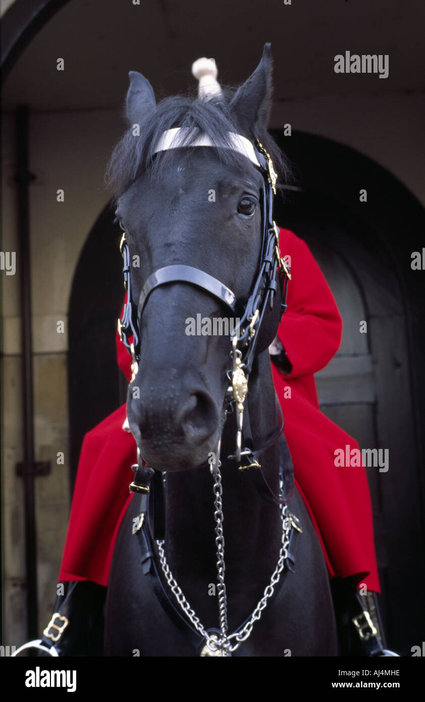 Un garde de la Reine monté sur son cheval à l'extérieur de Buckingham Palace Londres Banque D'Images