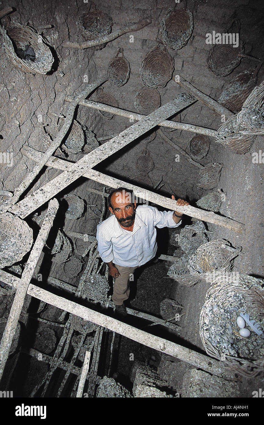 Pigeonniers de Diyarbakir, Turquie. Les excréments de pigeons utilisés dans l'agriculture à Diyarbakir. Banque D'Images