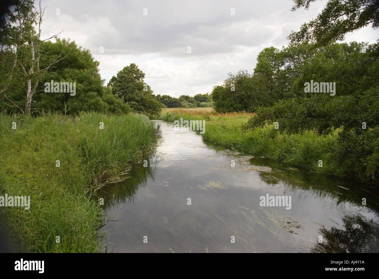 La rivière Wensum à Pensthorpe Norfolk Banque D'Images