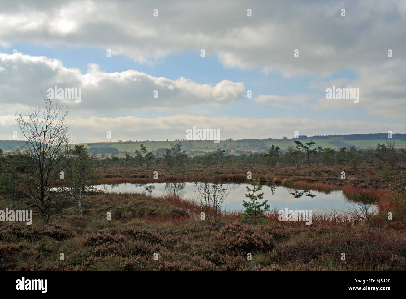 Étang de tourbières bombées dans la lande Schwarzes Moor Rhoen Franconie Bavaria Allemagne Europe Banque D'Images