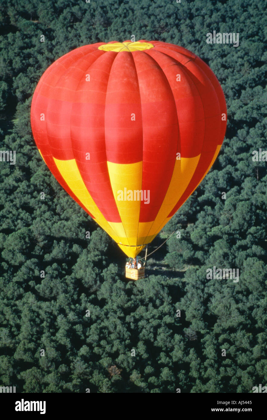 Hot Air Balloon flying over forest liberté Droit de voyage voyage voyage nature paysage Banque D'Images