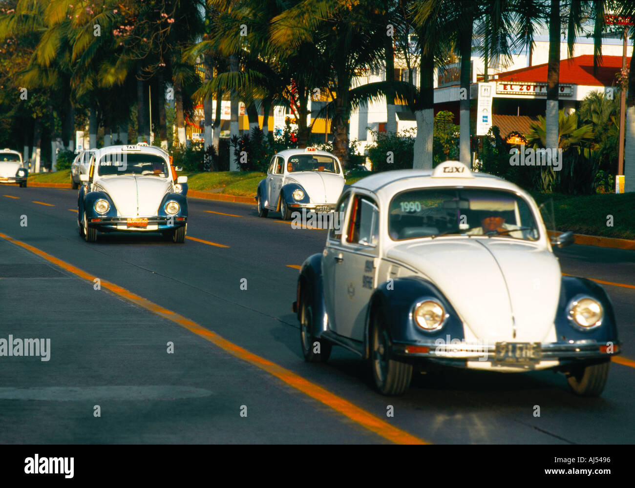 VW Coccinelle mexicaine la ligne taxis busy urban street Banque D'Images