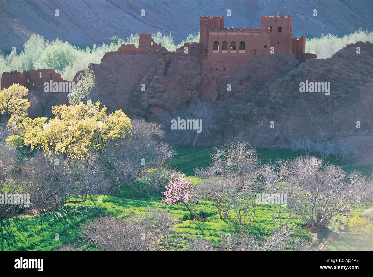 Gorges du Dadès au Maroc Banque D'Images