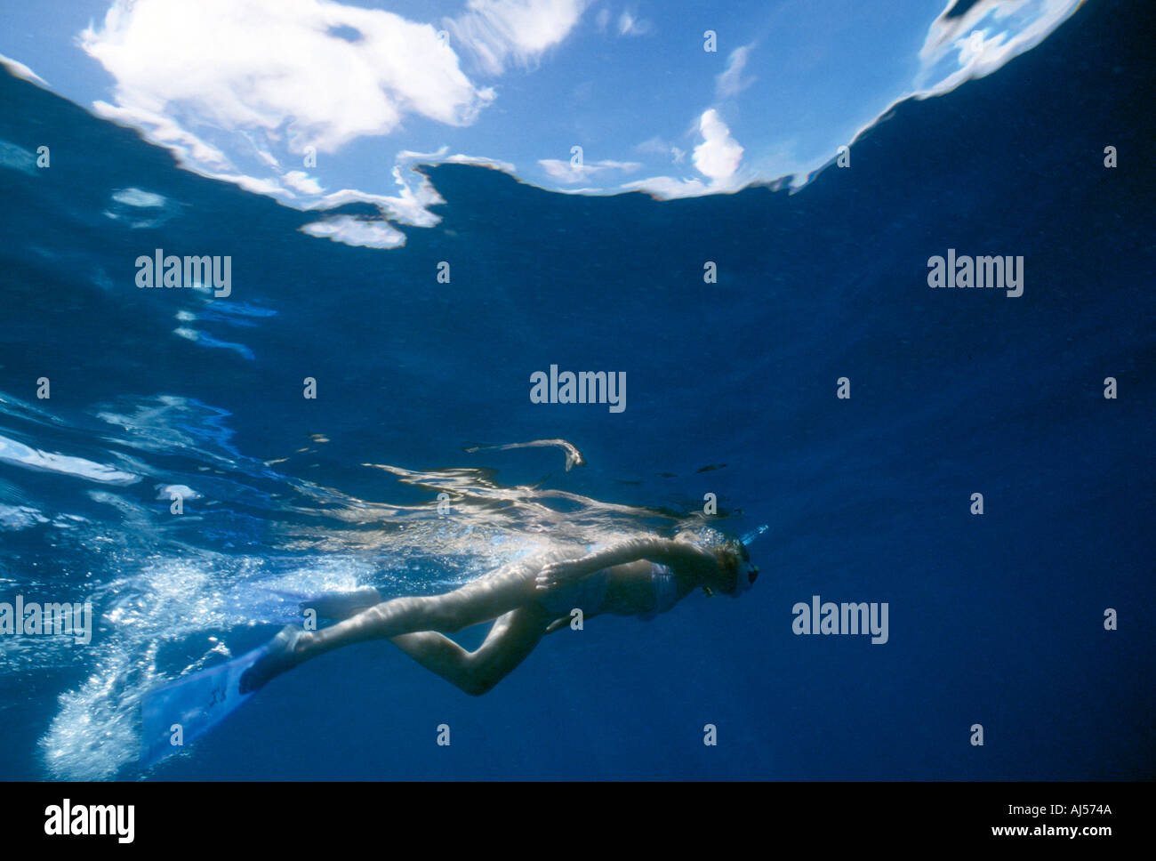 L'île de sel BVI femme sous-marine Plongée avec tuba sur la surface Banque D'Images