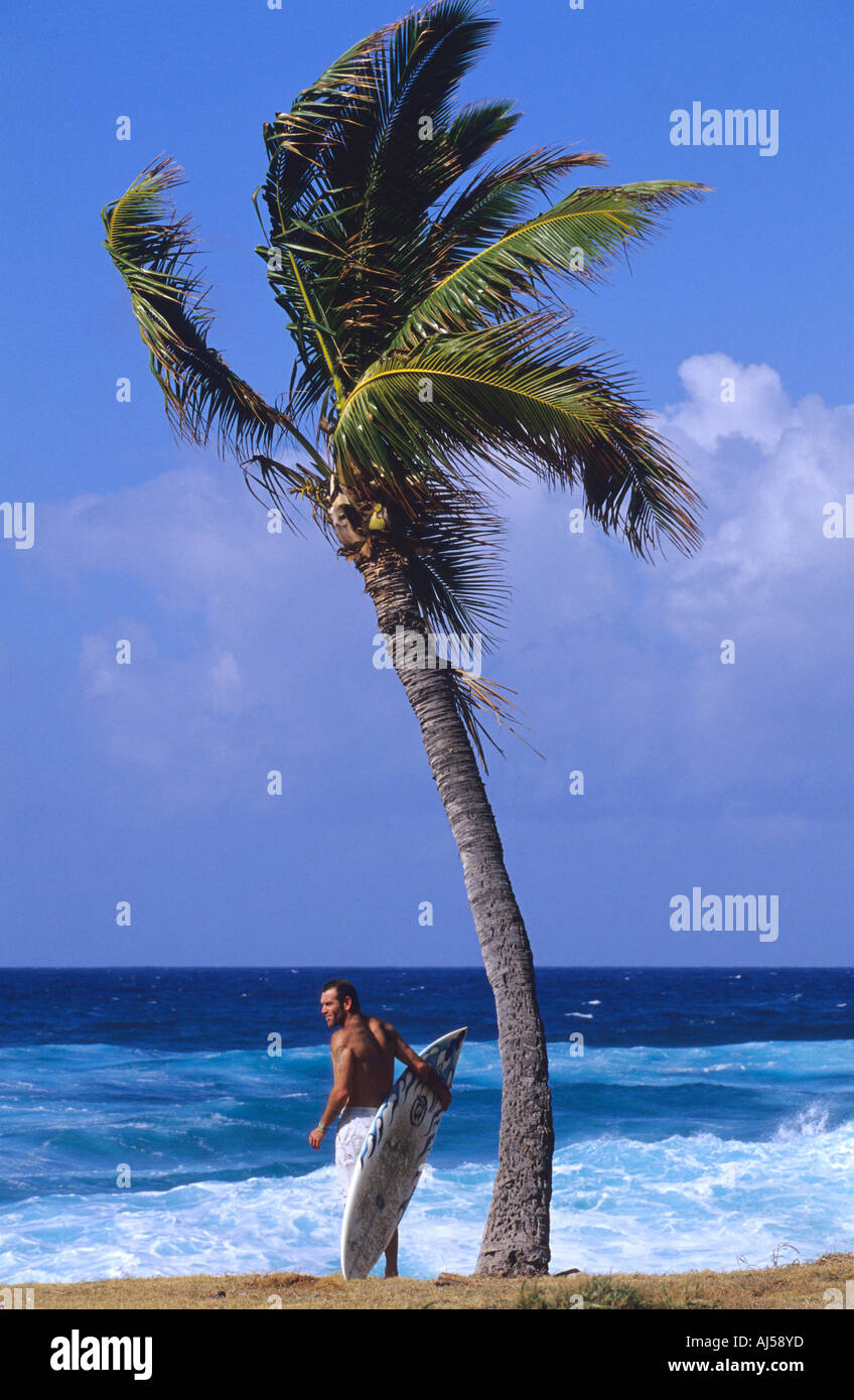 Surfer se tient juste en face de l'océan Pacifique Oahu Hawaii Makaha Banque D'Images