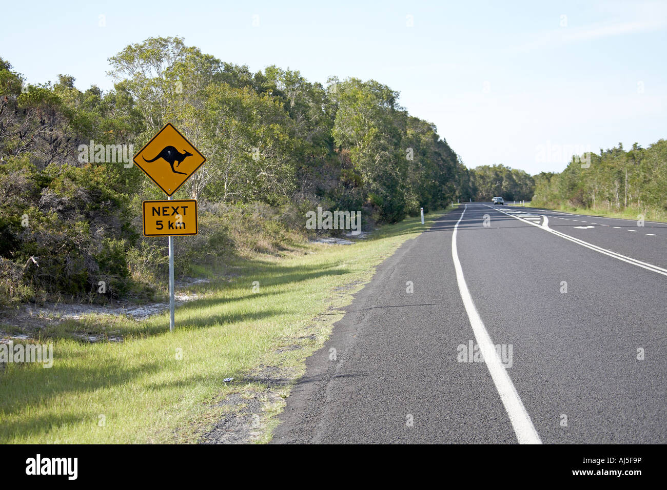 Danger Avertissement panneau routier de kangourous crossing à 5 km près de Byron Bay en Nouvelle Galles du sud , Australie Banque D'Images