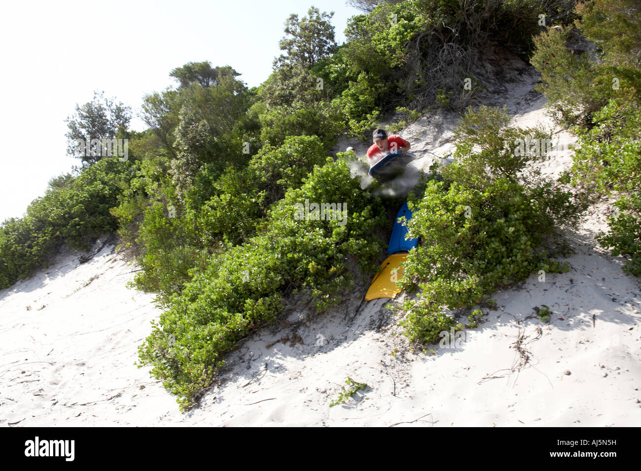 Jeune homme ou garçon surf de sable et tomber une dune à Yacaaba près de Port Stephens de Hawks Nest NSW Australie Nouvelle-Galles du Sud CC Banque D'Images