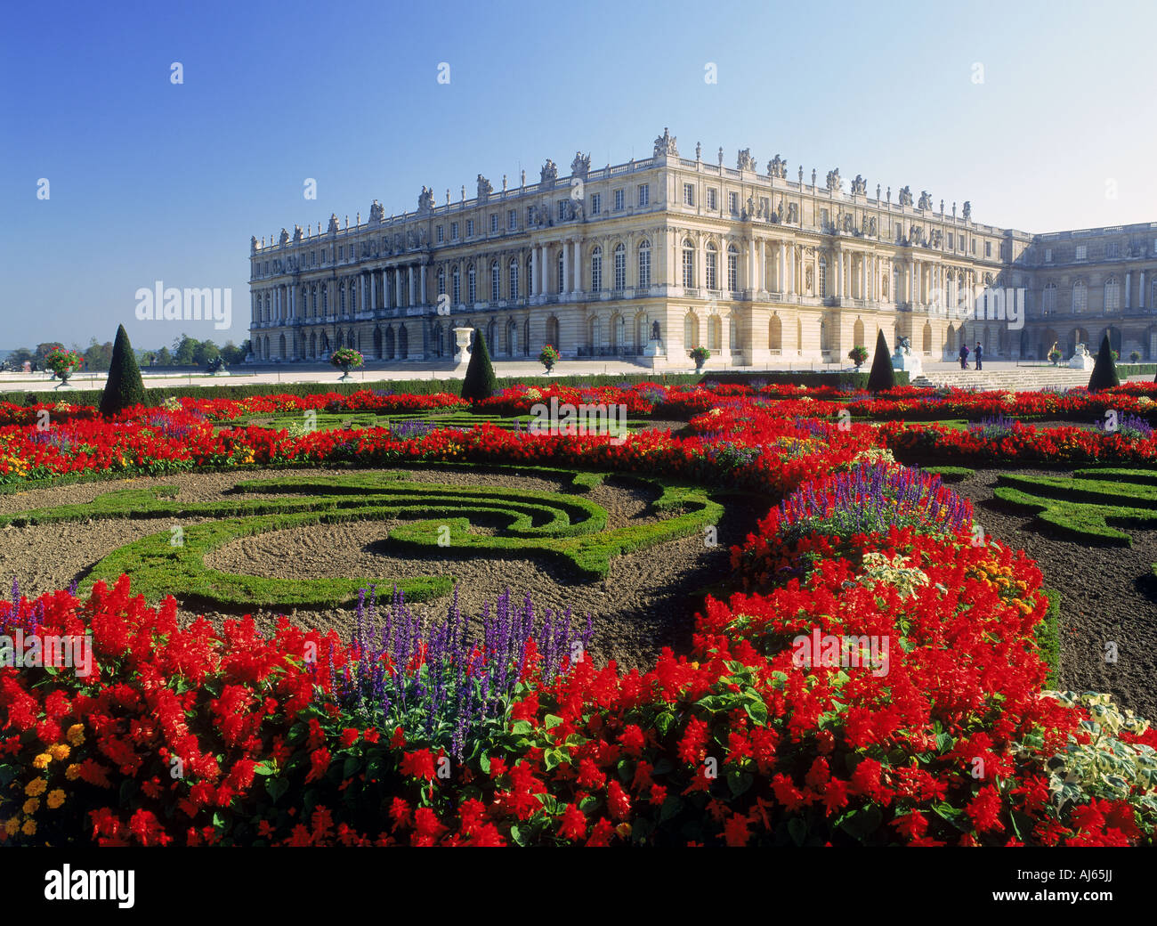 Les jardins de fleurs au château de Versailles près de Paris Banque D'Images