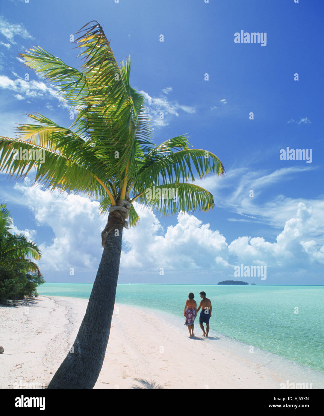 Couple en train de marcher sur la rive sablonneuse avec palmier sur un pied près de l'île de Aitutaki Cook Islands Banque D'Images