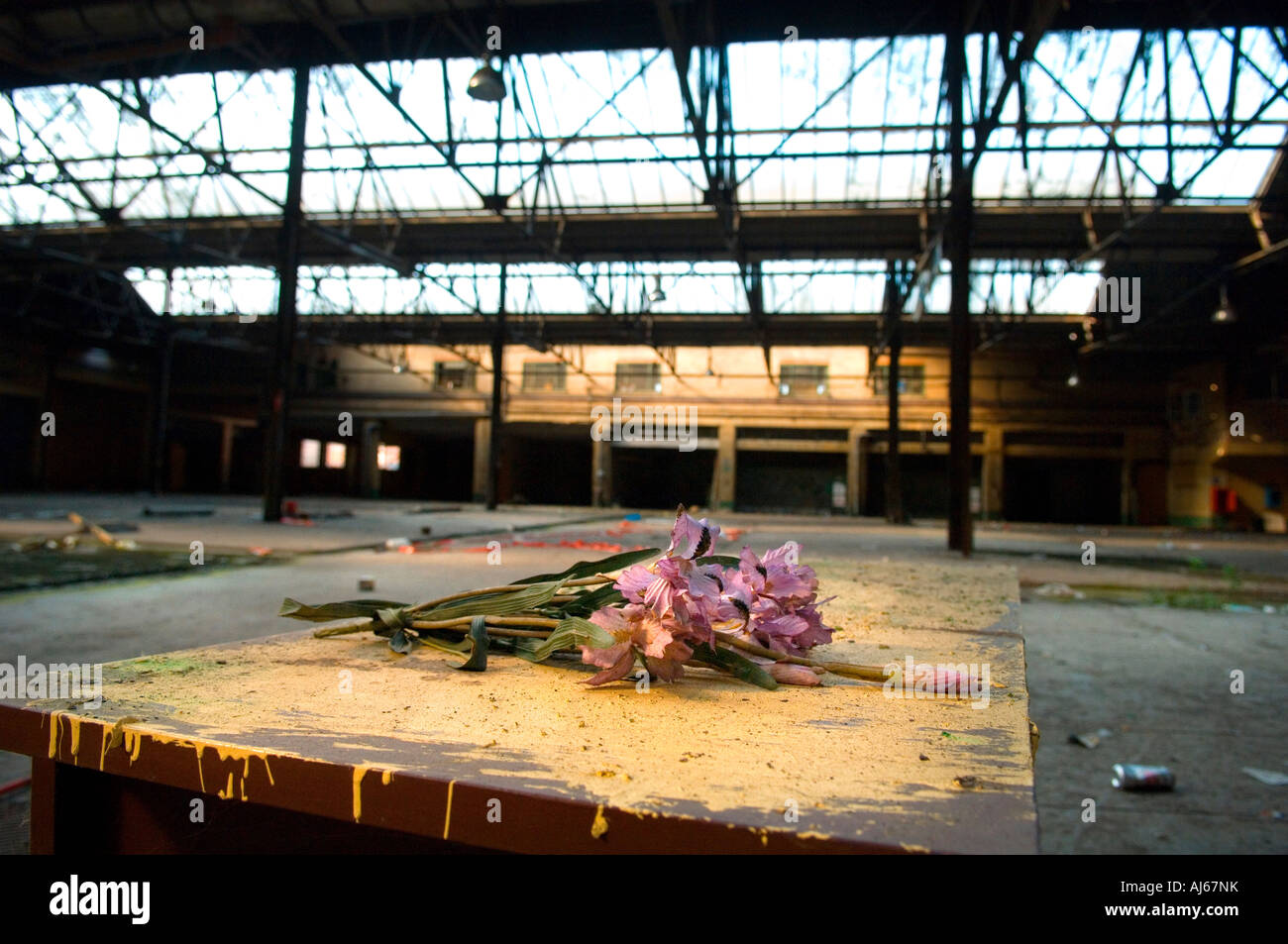 Se jeter des fleurs sur une table dans un ancien marché de fruits à Brighton. Photo par Jim Holden. Banque D'Images