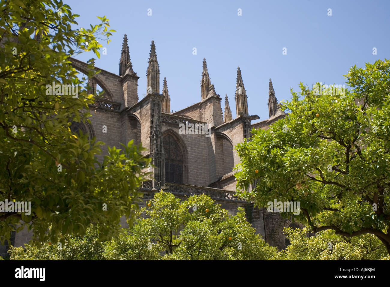 Tours de la cathédrale de Séville en Espagne. Banque D'Images