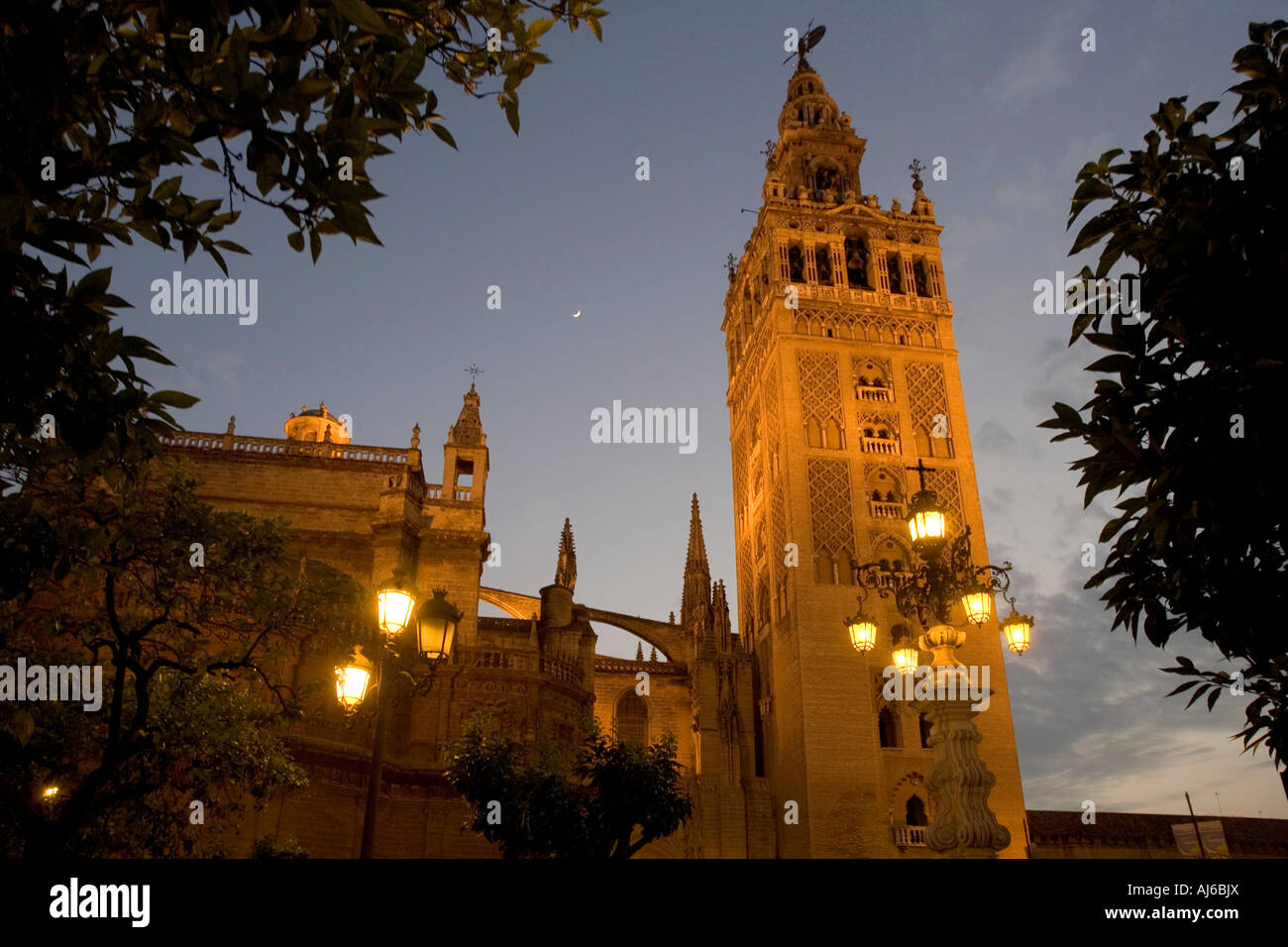Cathédrale de Séville, Espagne la nuit. Banque D'Images