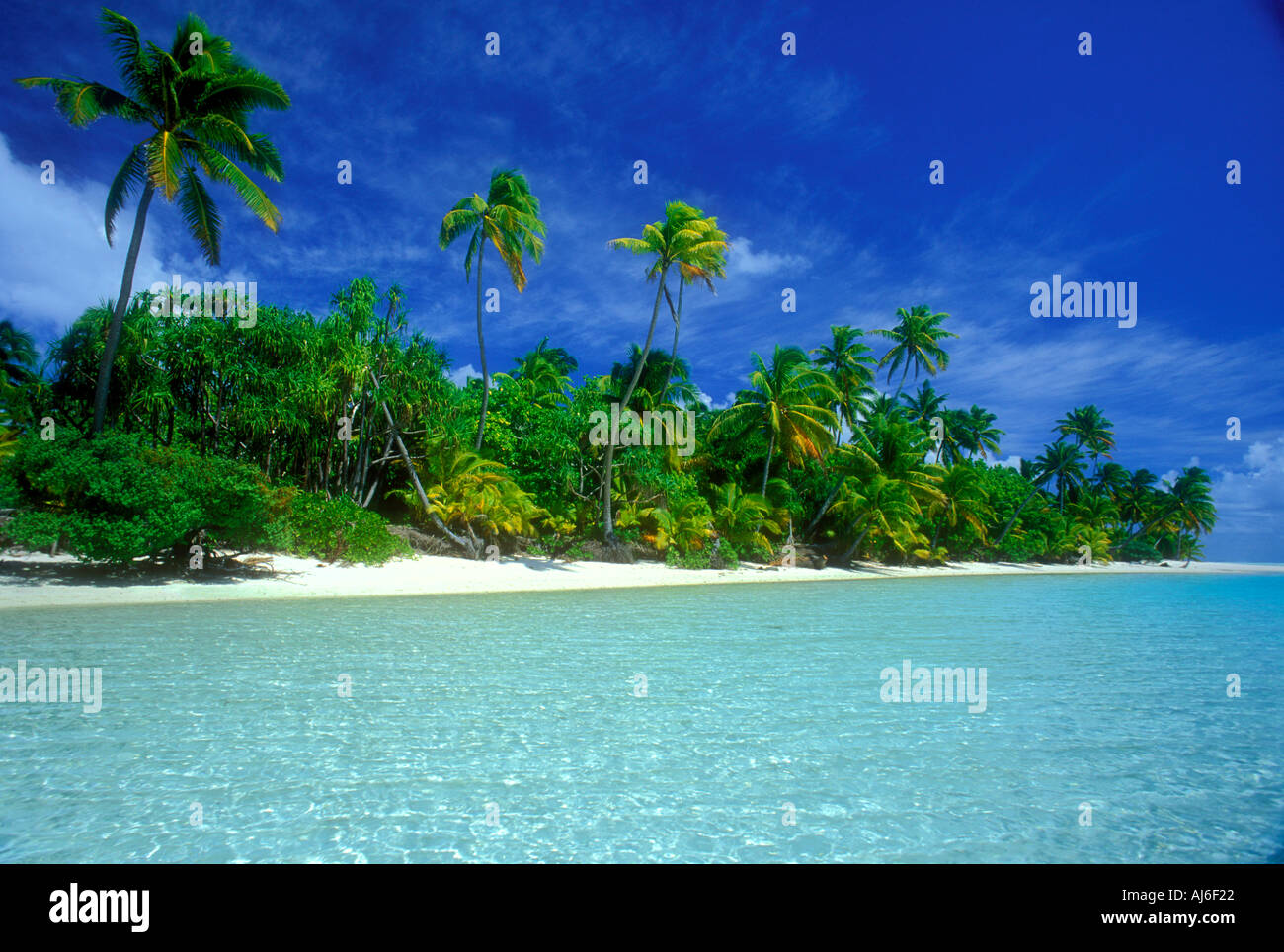 Palmiers le long de la plage tropicale dans les Îles Cook Polynésie Française Océan Pacifique Sud Banque D'Images