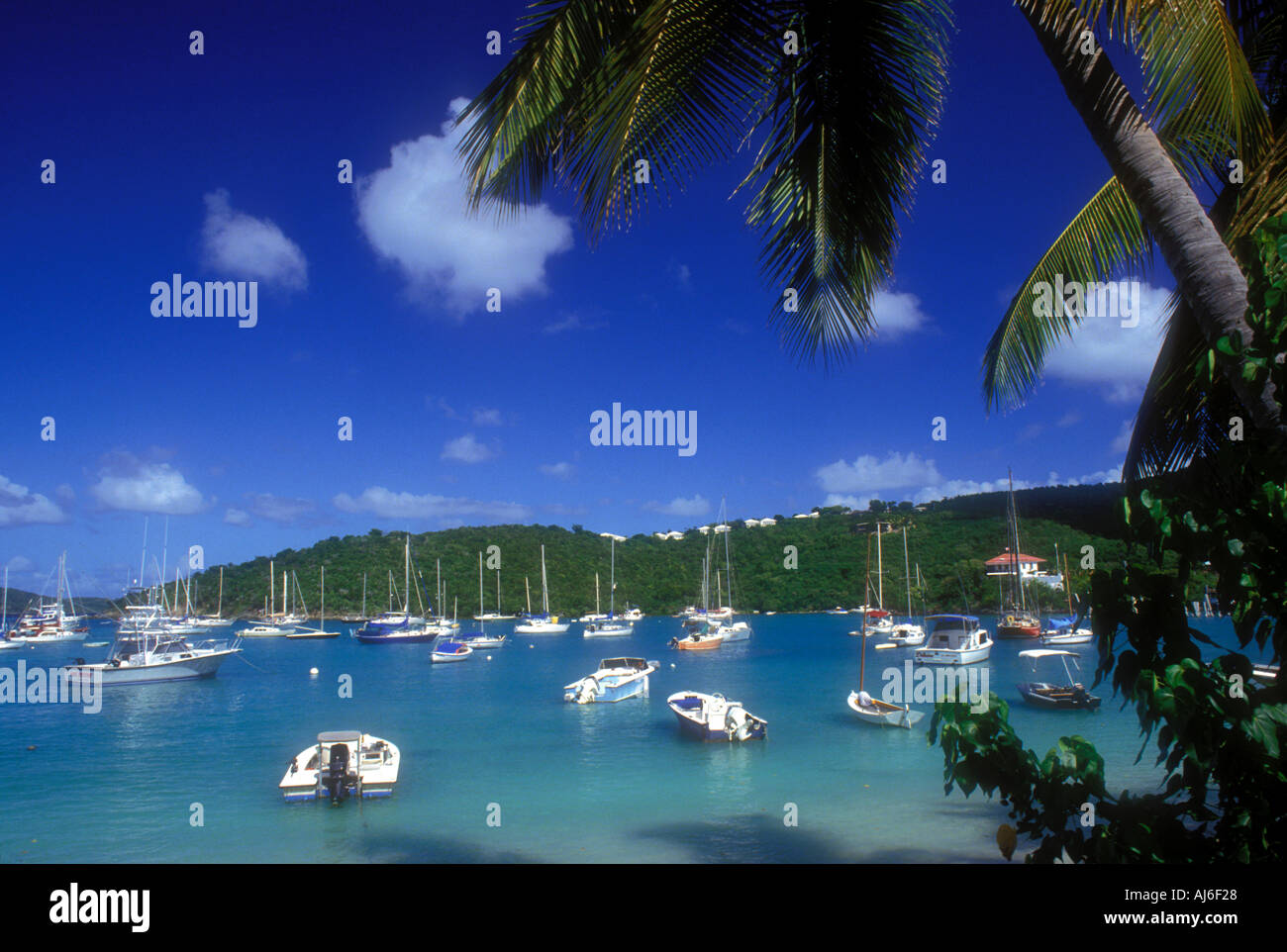 Bateaux ancrés à Cruz Bay sur l'île de St John dans les îles Vierges américaines, USVI Caraïbes Banque D'Images