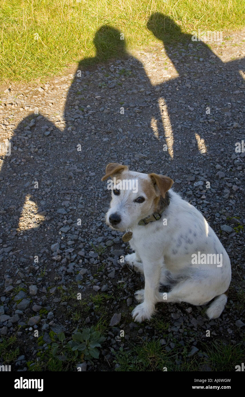 Les propriétaires de l'ombre & Terrier Banque D'Images