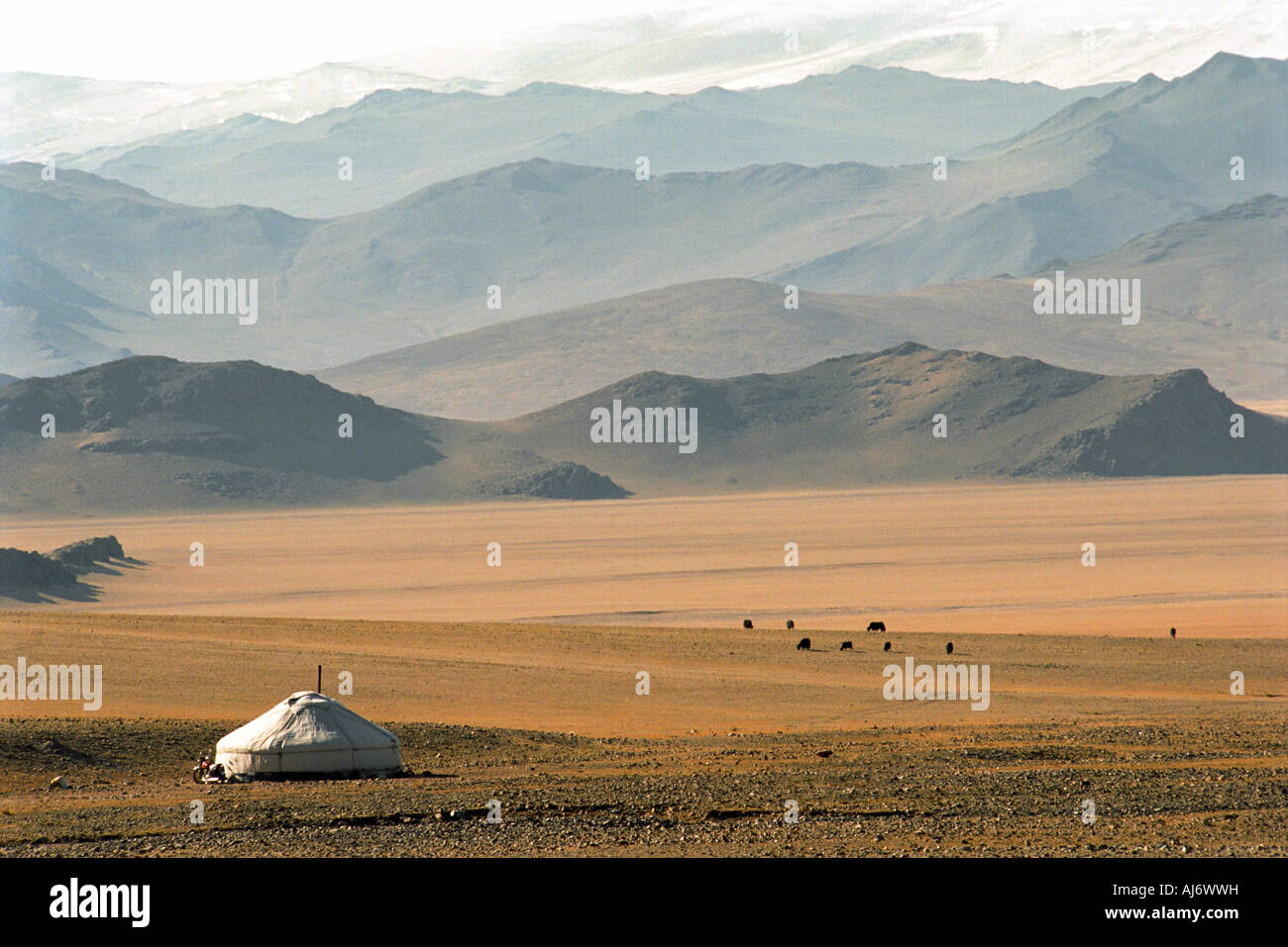 Habitation mongole traditionnelle ger ou d'une yourte. L'Altaï mongol Mongol (Altayn Nuruu). Baian-Olgii province. La Mongolie Banque D'Images