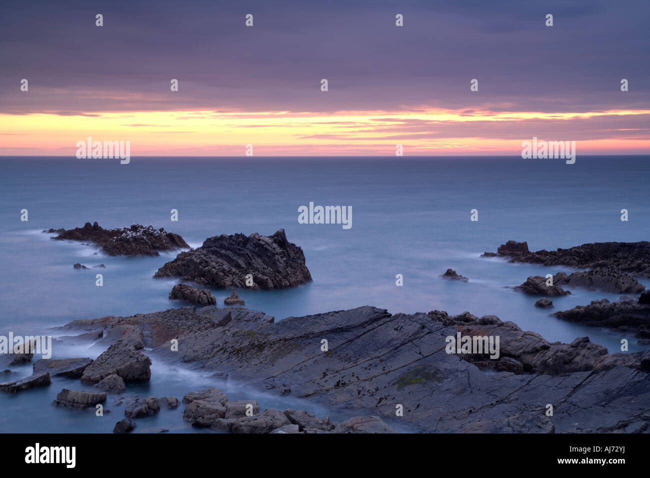 Hartland Quay, North Devon, Angleterre, Royaume-Uni, Europe Banque D'Images