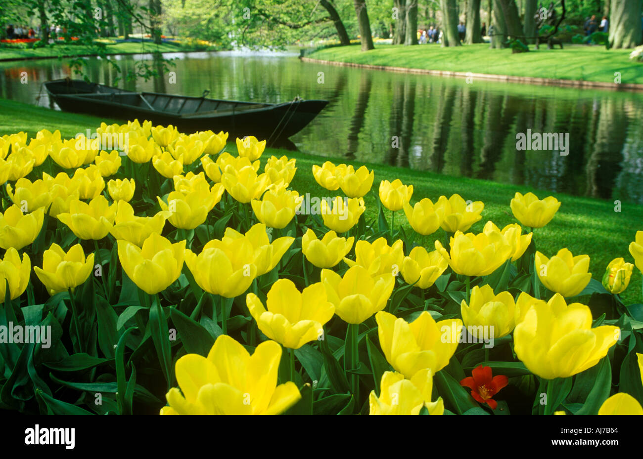 Jardins de Keukenhof Keukenhof Holland Banque D'Images