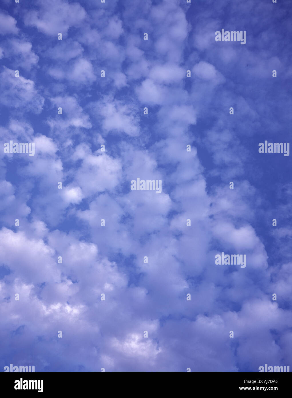 Ciel avec nuages Altocumulus floccus Banque D'Images