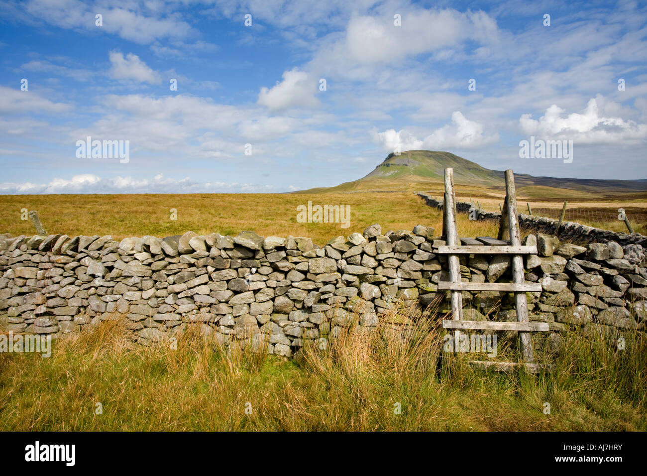 Mur en pierre sèche et dans le style Yorkshire Dales Banque D'Images