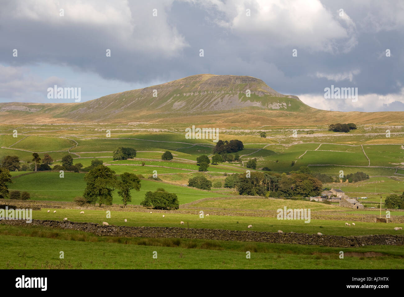 Pen-Y-gent dans le Yorkshire Dales Banque D'Images