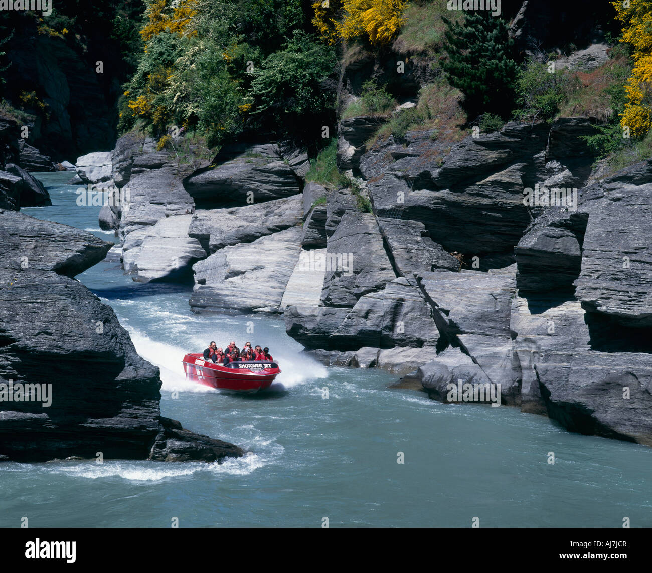 Saute-moutons sur l'Otago Queenstown Shotover River Island 'Sud' 'Nouvelle-zélande' Banque D'Images