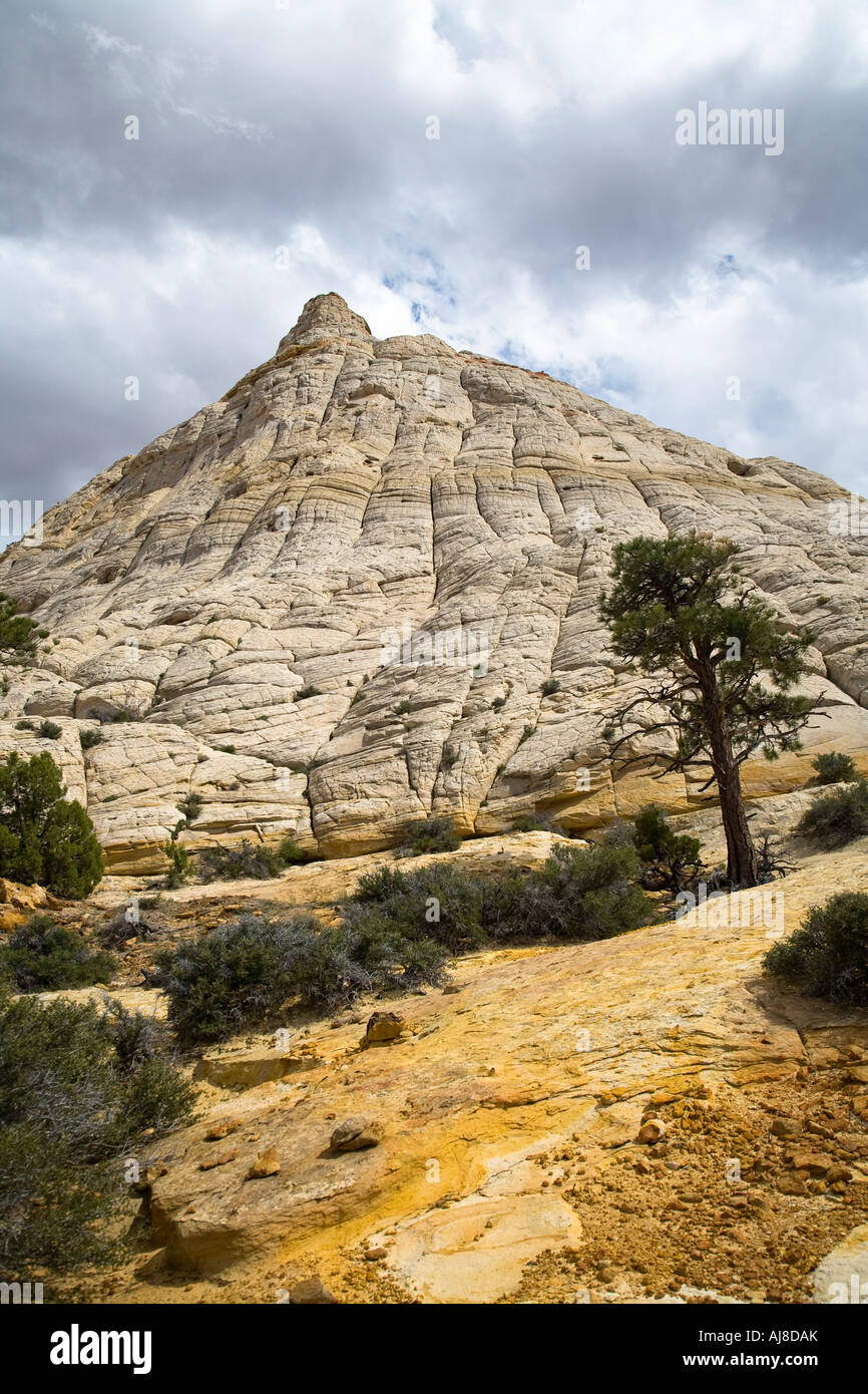 Capital Reef National Park Utah Banque D'Images