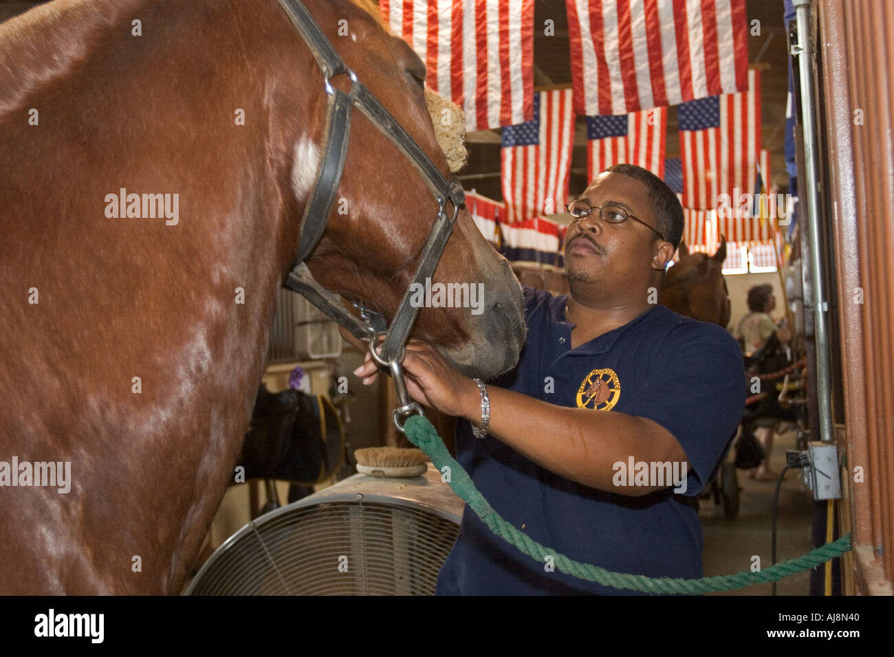 Agent de police à cheval Banque D'Images