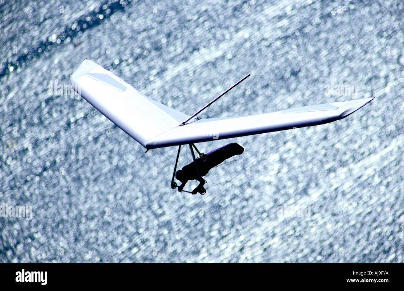 Deltaplane motorisé monte sur la mer Banque D'Images