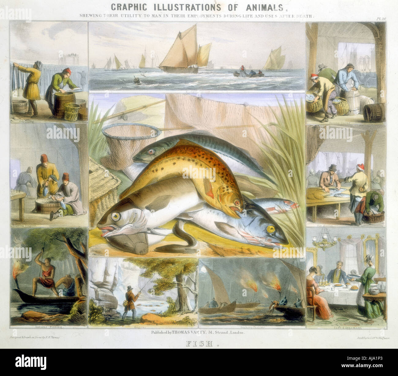 Le poisson, c1850. Artiste : Robert Kent Thomas Banque D'Images