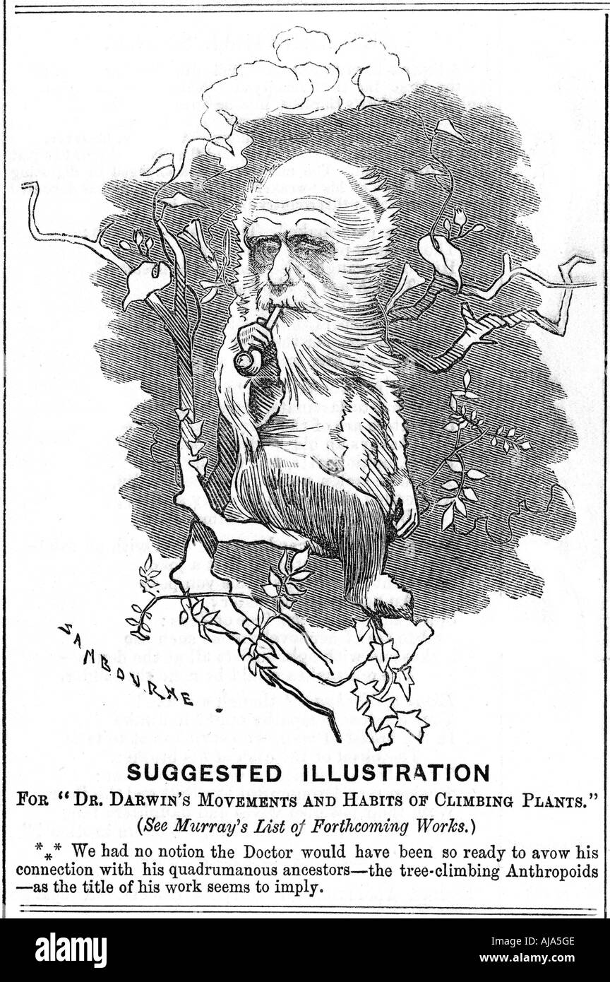 Charles Darwin, naturaliste anglais, 1875. Edward Linley Sambourne Artiste : Banque D'Images