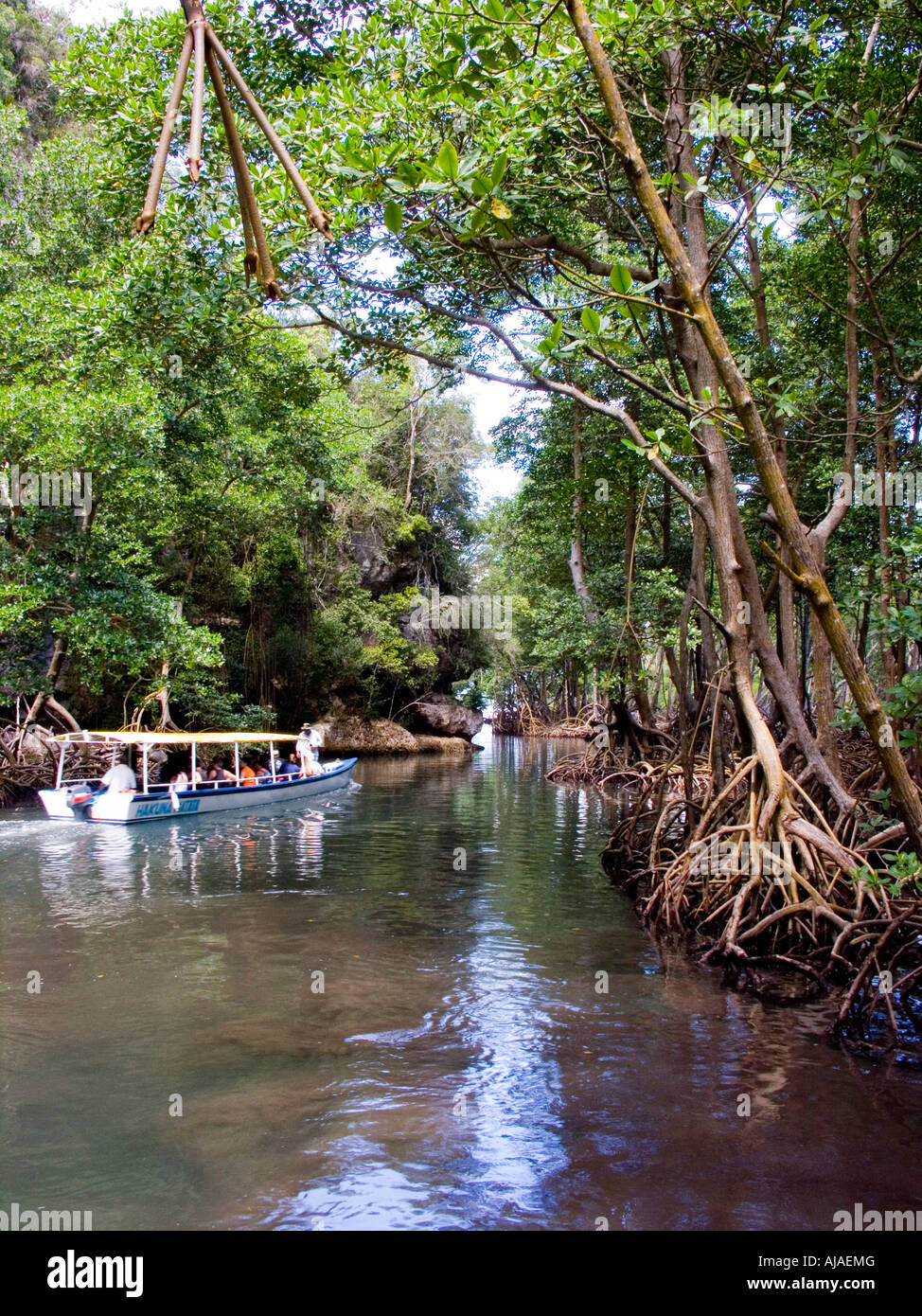 Parc national Los Haitises, République dominicaine, Banque D'Images