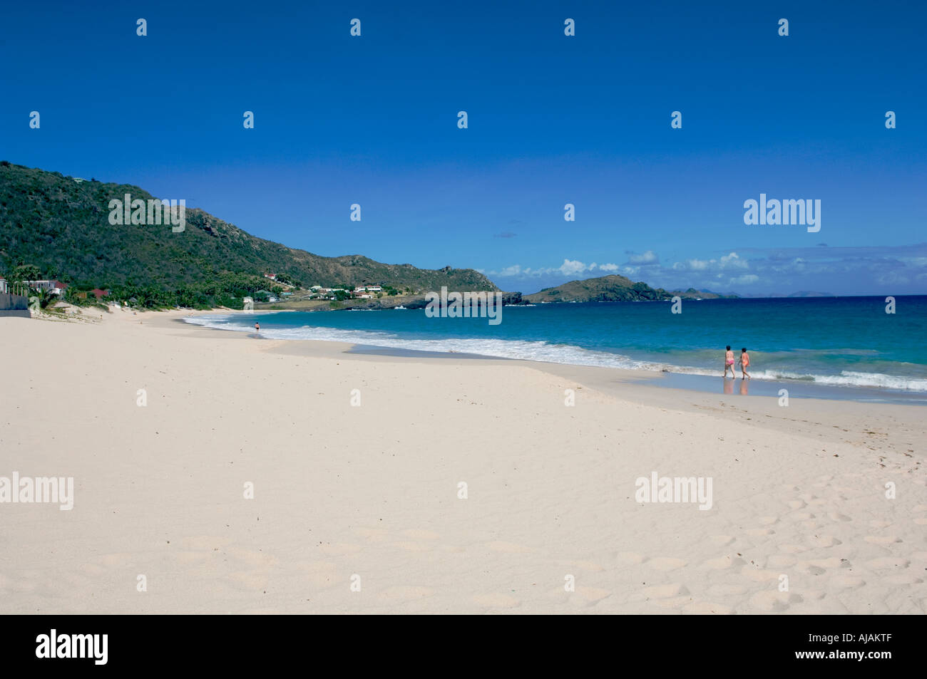 Saint Barthélemy French West Indies flamand ou plage Anse des Flamands est l'un des meilleurs de l'île Banque D'Images