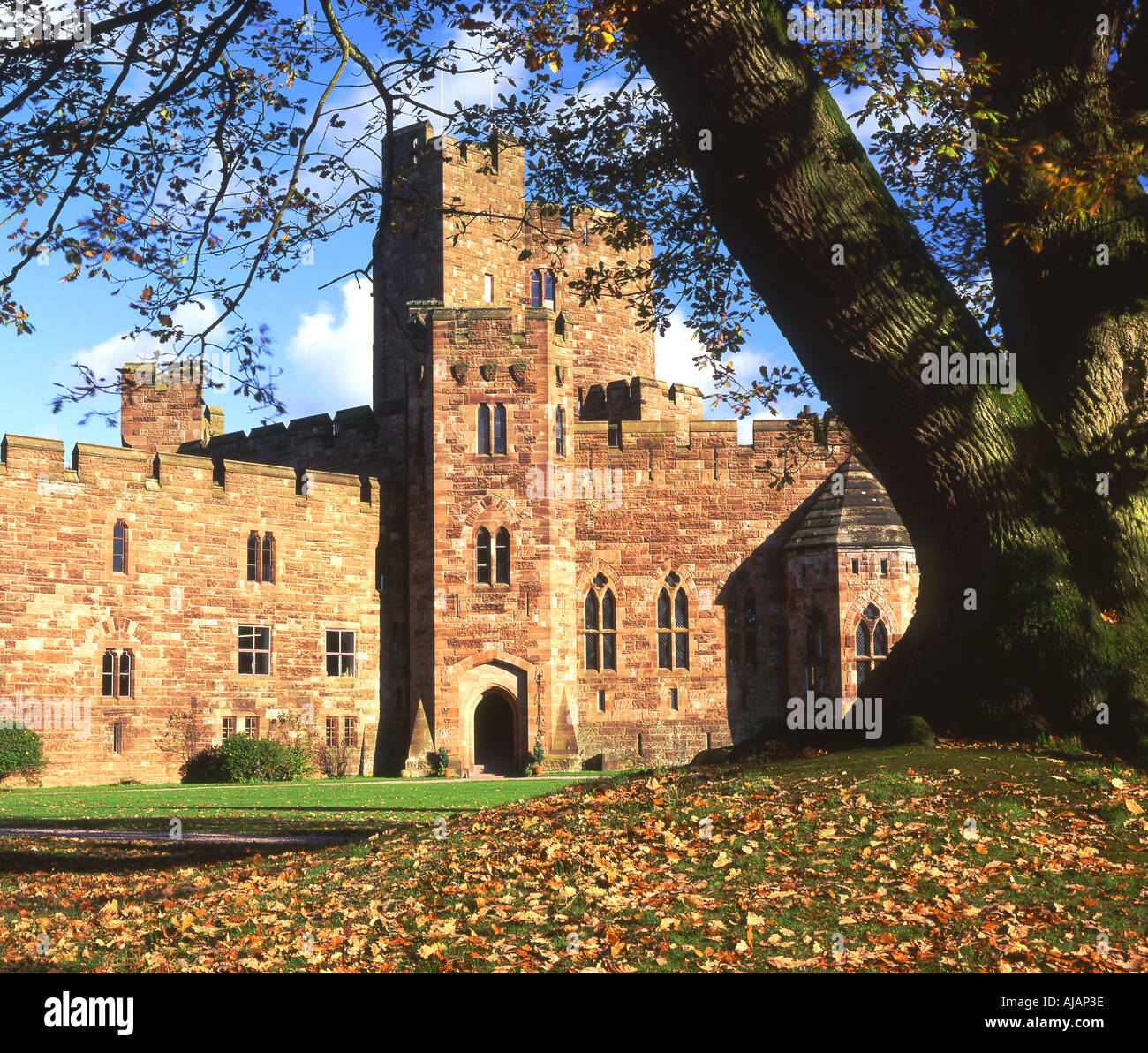 Peckforton Castle en automne Peckforton Cheshire England UK Banque D'Images