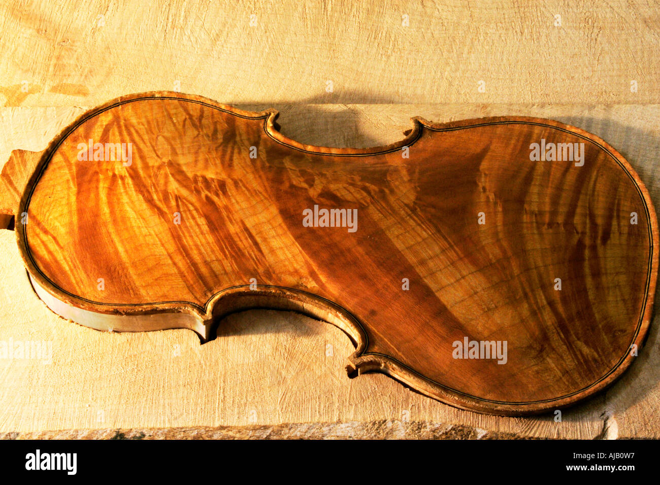 Fait en partie un corps de violon Banque D'Images