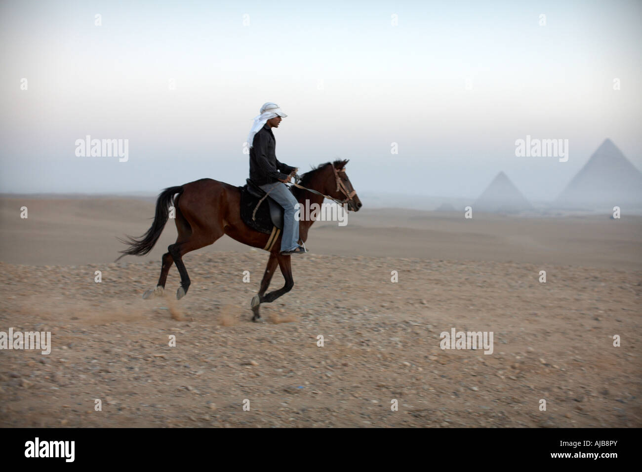 Guide cavalier équitation dans le désert pierreux au début de matin brumeux dawn mist à Gizeh Le Caire Egypte Afrique Banque D'Images