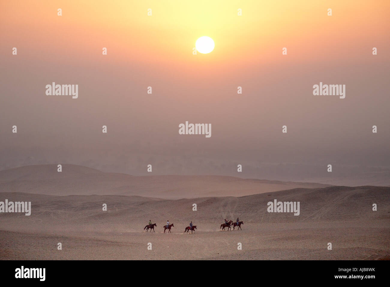 Les gens de l'équitation dans le désert pierreux en lever tôt le matin du Caire Giza Egypte Afrique Banque D'Images