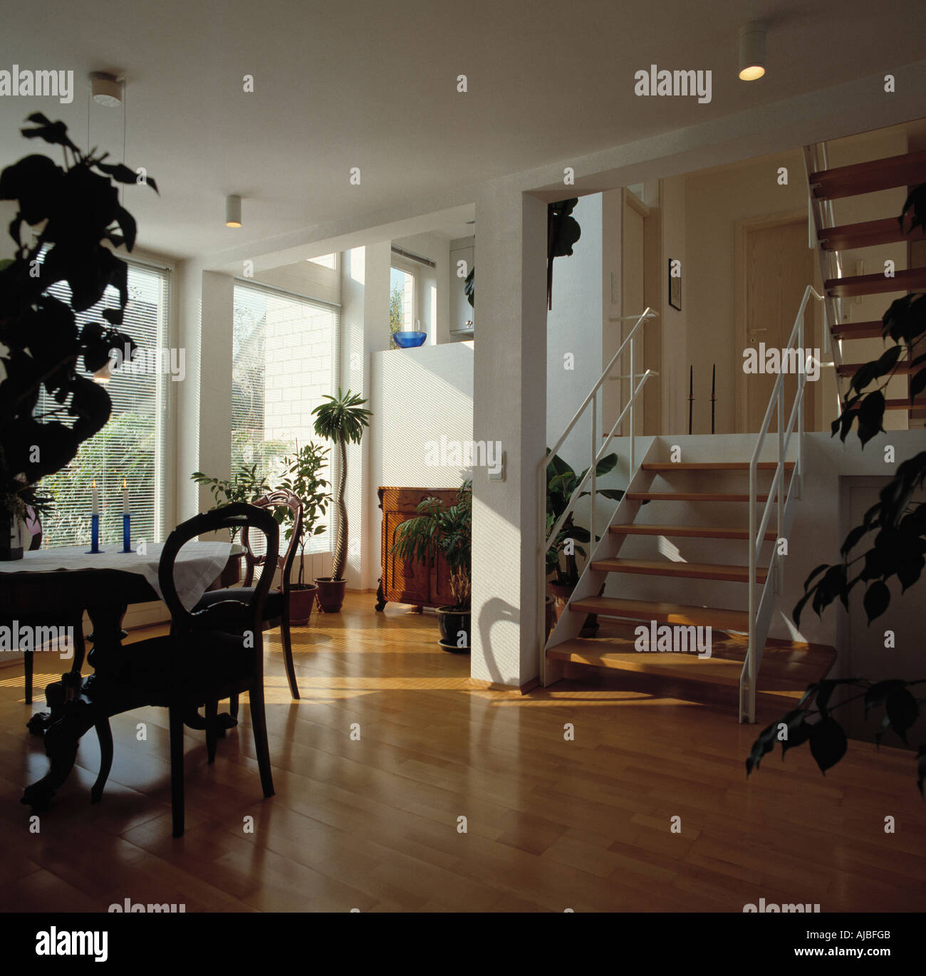 Parquet et escalier simple petite double hauteur en blanc moderne salle à manger avec table et chaise ancienne et grande plante Banque D'Images