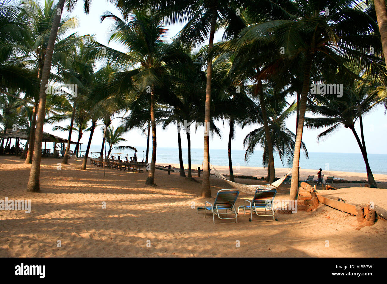 Cola beach à Goa en Inde Banque D'Images