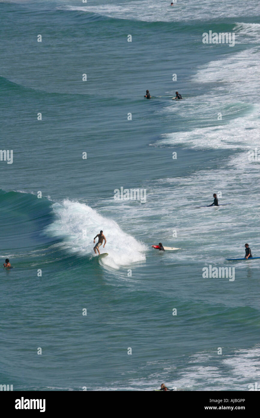 surfeurs Banque D'Images