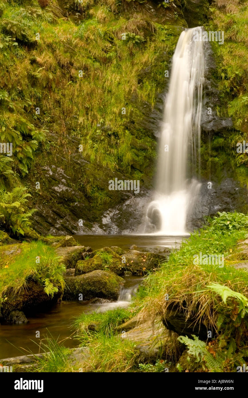 Disgynfa Pistyll Rhaeadr Afon à cascade, Powys Pays de Galles Banque D'Images