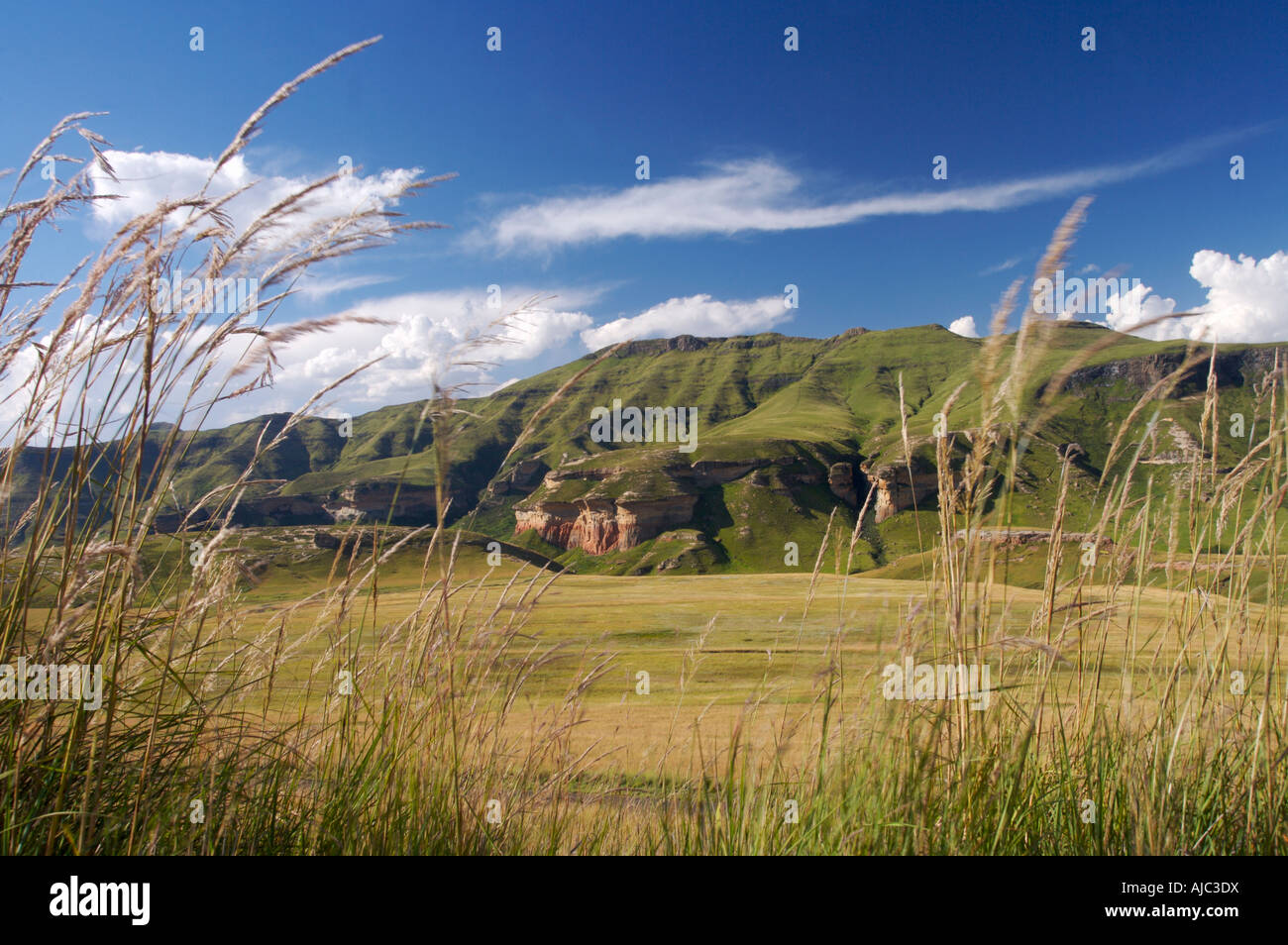 Dans les falaises de grès de l'Afrique du Sud, Eastern Highlands Banque D'Images