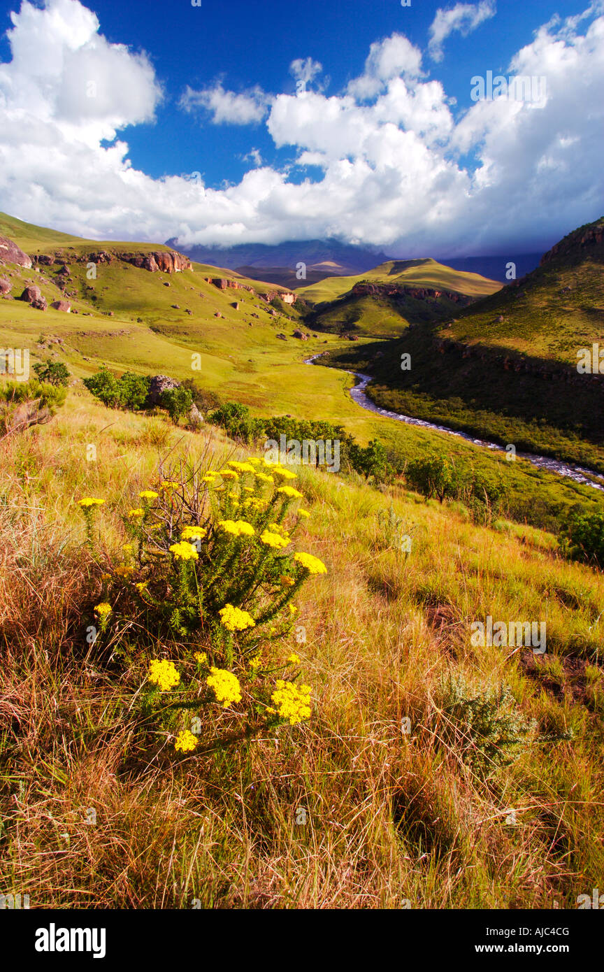 Vue panoramique sur la vallée de la rivière Bushmans Banque D'Images